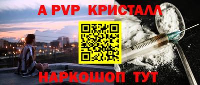 ешки Кингисепп
