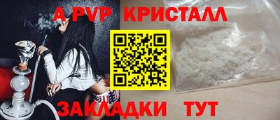 ешки Кингисепп